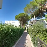 Pinegrove Durrës