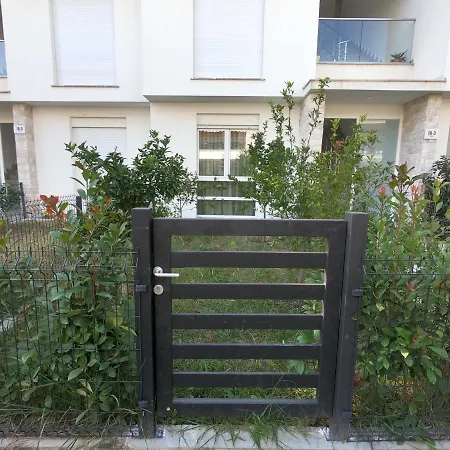 Pinegrove Dıraç