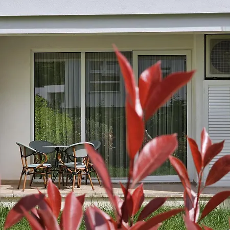 Pinegrove * דורס